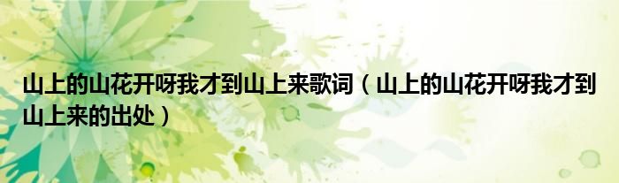 山上的山花开呀我才到山上来歌词(山上的山花开呀我才到山上来的出处)