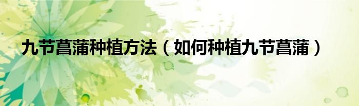 九节菖蒲种植方法(如何种植九节菖蒲)