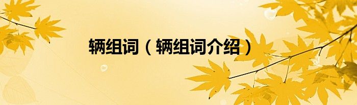 辆组词（辆组词介绍）