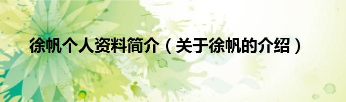 徐帆个人资料简介(关于徐帆的介绍)