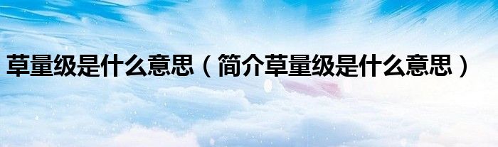 草量级是什么意思(简介草量级是什么意思)