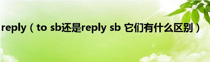 reply(to sb还是reply sb 它们有什么区别)