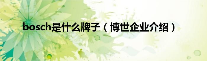 bosch是什么牌子(博世企业介绍)