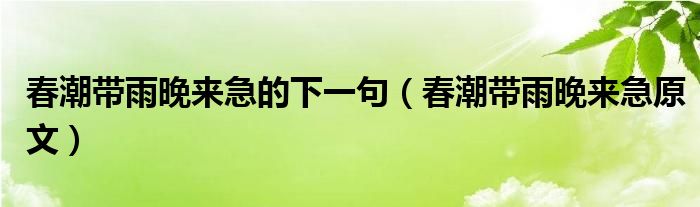 春潮带雨晚来急的下一句(春潮带雨晚来急原文)