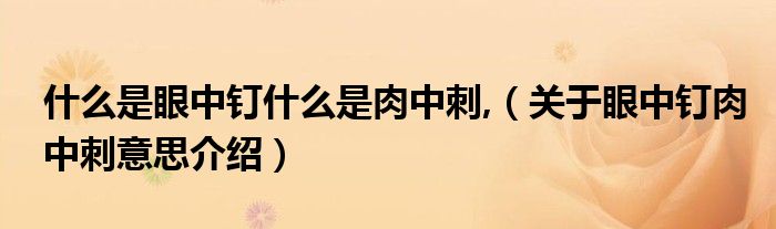 什么是眼中钉什么是肉中刺,(关于眼中钉肉中刺意思介绍)