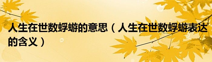 人生在世数蜉蝣的意思(人生在世数蜉蝣表达的含义)