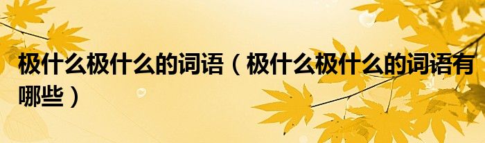 极什么极什么的词语(极什么极什么的词语有哪些)