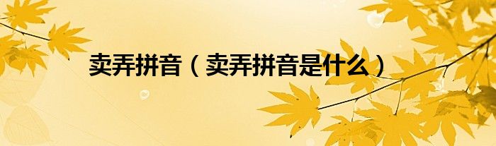 卖弄拼音(卖弄拼音是什么)
