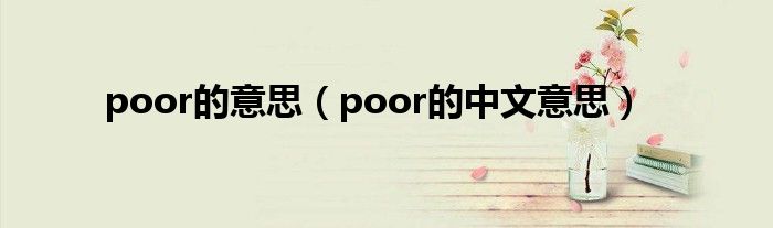 poor的意思(poor的中文意思)