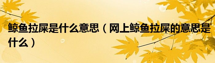 鲸鱼拉屎是什么意思(网上鲸鱼拉屎的意思是什么)