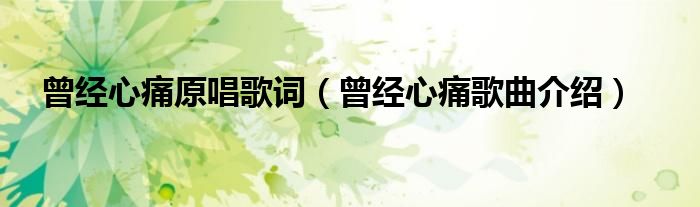 曾经心痛原唱歌词(曾经心痛歌曲介绍)