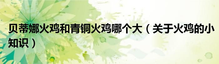 贝蒂娜火鸡和青铜火鸡哪个大(关于火鸡的小知识)