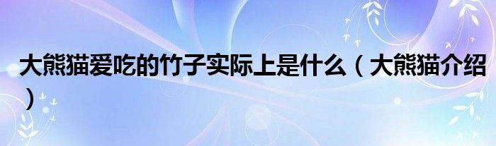 大熊猫爱吃的竹子实际上是什么(大熊猫介绍)