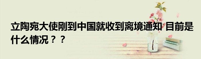 立陶宛大使刚到中国就收到离境通知 目前是什么情况??