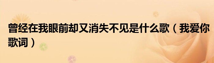 曾经在我眼前却又消失不见是什么歌(我爱你歌词)