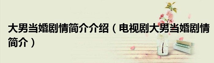 大男当婚剧情简介介绍(电视剧大男当婚剧情简介)
