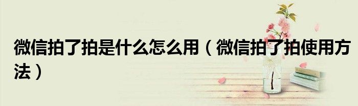 微信拍了拍是什么怎么用(微信拍了拍使用方法)