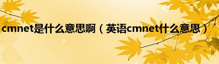 cmnet是什么意思啊(英语cmnet什么意思)