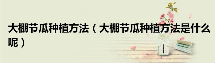 大棚节瓜种植方法(大棚节瓜种植方法是什么呢)