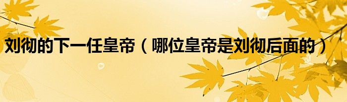 刘彻的下一任皇帝(哪位皇帝是刘彻后面的)