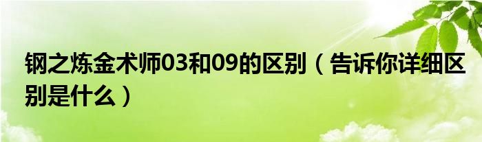 钢之炼金术师03和09的区别(告诉你详细区别是什么)