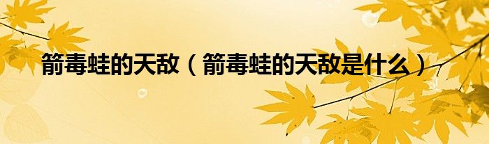 箭毒蛙的天敌(箭毒蛙的天敌是什么)