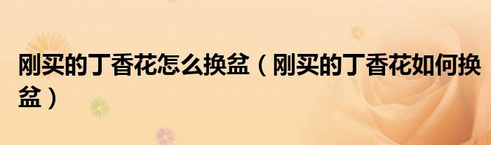 刚买的丁香花怎么换盆(刚买的丁香花如何换盆)