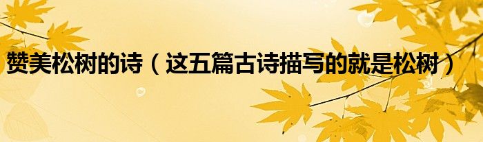赞美松树的诗(这五篇古诗描写的就是松树)