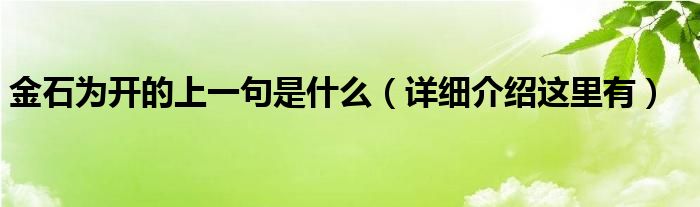 金石为开的上一句是什么(详细介绍这里有)