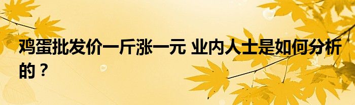 鸡蛋批发价一斤涨一元 业内人士是如何分析的?