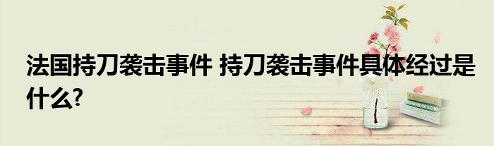 法国持刀袭击事件 持刀袭击事件具体经过是什么?