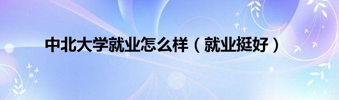 中北大学就业怎么样(就业挺好)