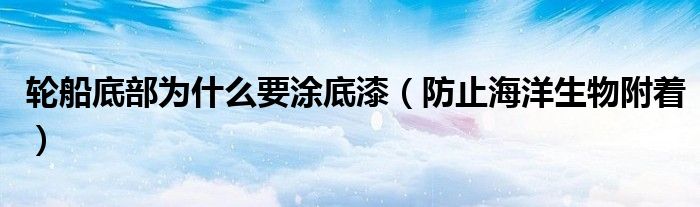 轮船底部为什么要涂底漆(防止海洋生物附着)