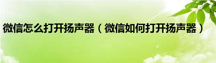 微信怎么打开扬声器(微信如何打开扬声器)