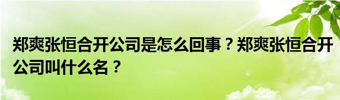 郑爽张恒合开公司是怎么回事？郑爽张恒合开公司叫什么名？