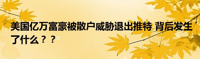 美国亿万富豪被散户威胁退出推特 背后发生了什么??