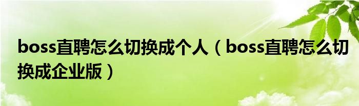 boss直聘怎么切换成个人（boss直聘怎么切换成企业版）