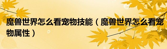 魔兽世界怎么看宠物技能(魔兽世界怎么看宠物属性)