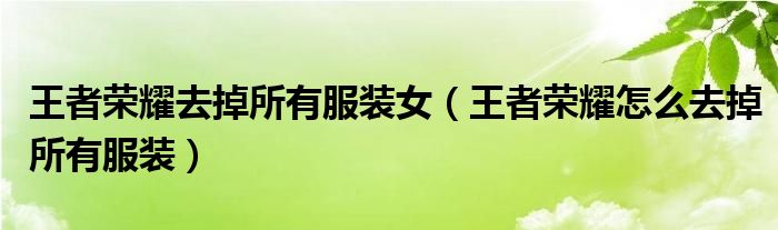 王者荣耀去掉所有服装女(王者荣耀怎么去掉所有服装)