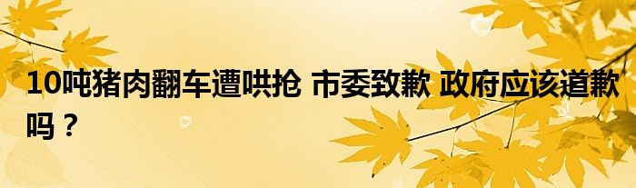 10吨猪肉翻车遭哄抢 市委致歉 政府应该道歉吗?
