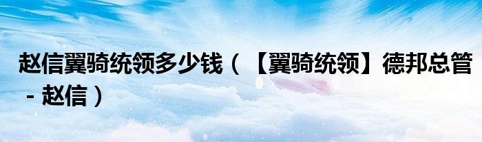 赵信翼骑统领多少钱(【翼骑统领】德邦总管 - 赵信)