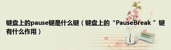 键盘上的pause键是什么键(键盘上的“PauseBreak ”键有什么作用)