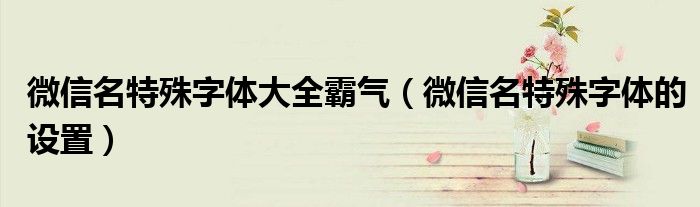 微信名特殊字体大全霸气(微信名特殊字体的设置)