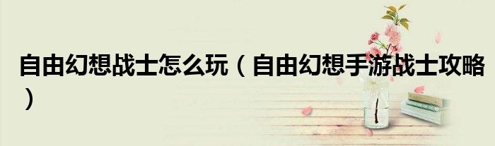 自由幻想战士怎么玩(自由幻想手游战士攻略)