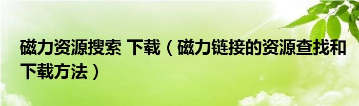 磁力资源搜索 下载（磁力链接的资源查找和下载方法）