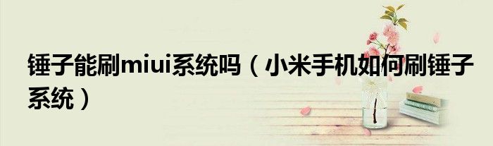 锤子能刷miui系统吗(小米手机如何刷锤子系统)