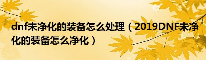 dnf未净化的装备怎么处理(2019DNF未净化的装备怎么净化)