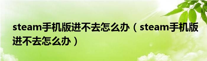 steam手机版进不去怎么办(steam手机版进不去怎么办)