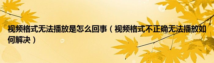 视频格式无法播放是怎么回事（视频格式不正确无法播放如何解决）