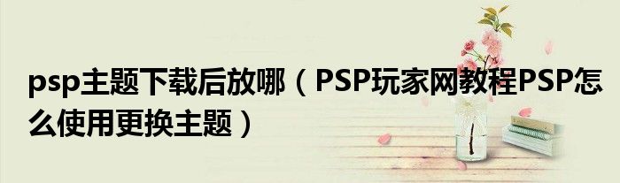 psp主题下载后放哪(PSP玩家网教程PSP怎么使用更换主题)